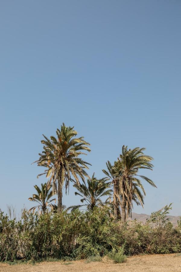 Villa Vaya Agia Anna  ภายนอก รูปภาพ